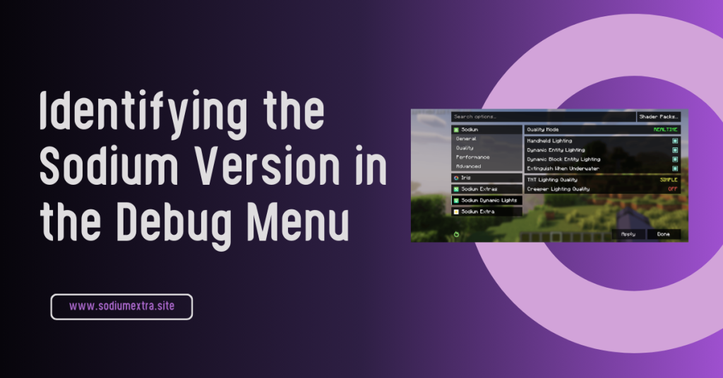 Identifying the Sodium Version in the Debug Menu