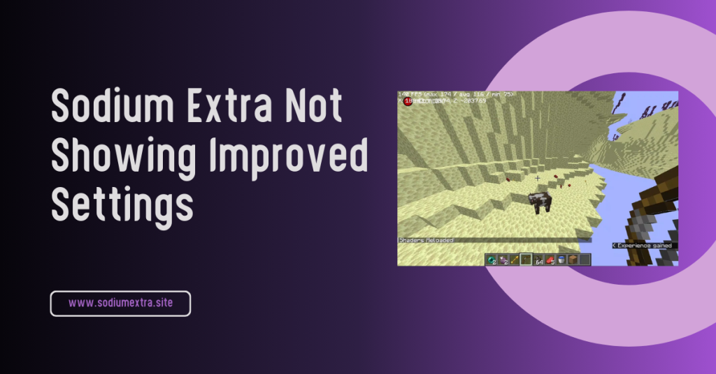 Sodium Extra Not Showing Improved Settings — Fix